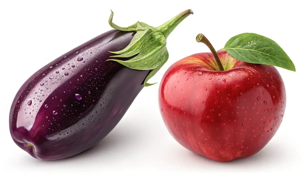 가지 영어로? Eggplant부터 다양한 표현까지 완벽 정리! 가지 영어 표현 학습을 시각적으로 나타내는 가지 그림과 말풍선 속 전구 아이콘