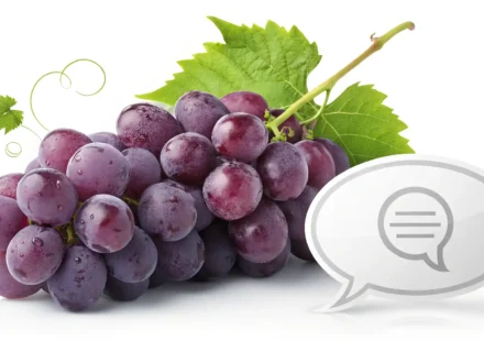 포도를 영어로 어떻게 말할까요? Grape와 관련된 다양한 표현 알아보기 포도송이 이미지 옆에 영어 말풍선 아이콘이 있어 포도 관련 영어 표현 학습을 나타내는 그림
