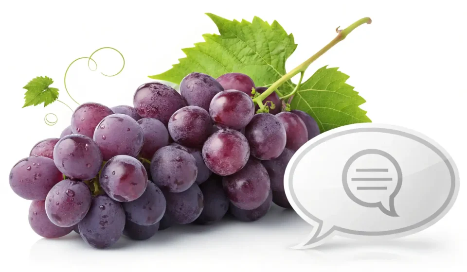 포도를 영어로 어떻게 말할까요? Grape와 관련된 다양한 표현 알아보기 포도송이 이미지 옆에 영어 말풍선 아이콘이 있어 포도 관련 영어 표현 학습을 나타내는 그림