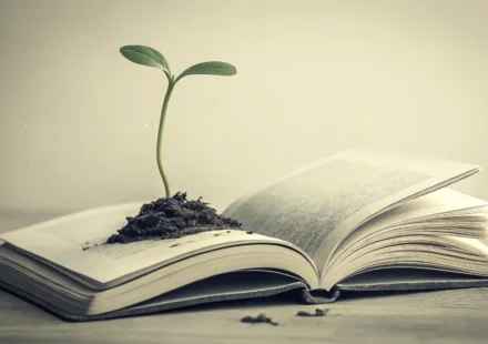 희망 영어로 표현하는 법: 긍정적인 미래를 그리는 영어 문장 희망을 상징하는 새싹이 펼쳐진 영어 책에서 자라나는 모습의 일러스트레이션