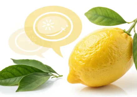 레몬 영어로? 완벽 마스터 가이드 밝은 노란색 레몬과 영어 학습 및 표현을 상징하는 말풍선 아이콘이 그려진 이미지