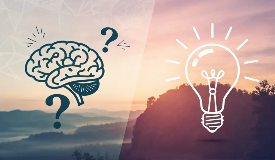 가정(물음표)과 주어진 사실(체크 표시)의 차이를 상징하는 두뇌 아이콘 분할 이미지, 영어 전제 표현 학습 시각 자료