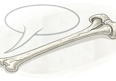 뼈 이미지와 영어 학습을 상징하는 말풍선 일러스트레이션