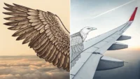 새 날개, 비행기 날개, 건물 별관 이미지를 통해 영어 단어 'wing'의 다양한 의미를 시각적으로 표현한 썸네일