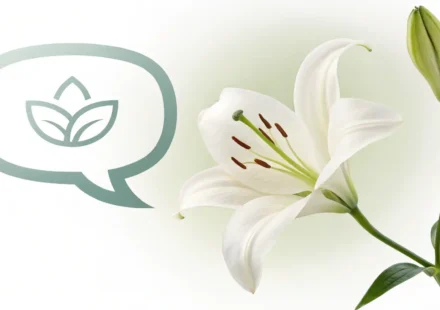 장례식 절차 관련 영어 표현 학습을 상징하는 말풍선과 흰 백합, 영국/미국 국기 아이콘 그래픽