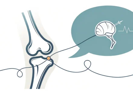 무릎 관련 영어 표현 학습: 무릎 아이콘과 영어 질문을 상징하는 말풍선 이미지.