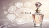 향수병 이미지 위로 "Can I try this?", "Floral scent?" 같은 영어 표현이 적힌 말풍선이 떠 있는, 향수 가게 영어 학습 관련 일러스트.